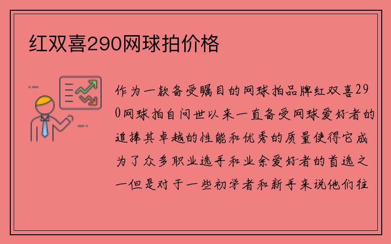 红双喜290网球拍价格